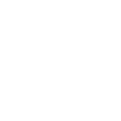 Logo TL'S Formation